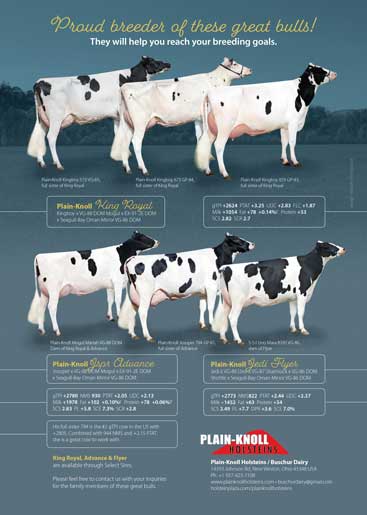 Holstein Hub June 2018